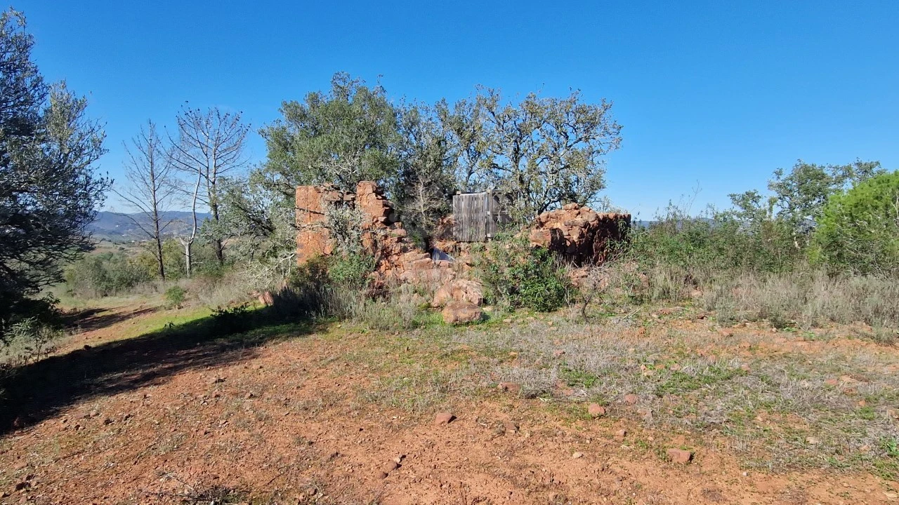 Terreno Agricola ou Rústico para Venda em São Bartolomeu de Messines Foto 5