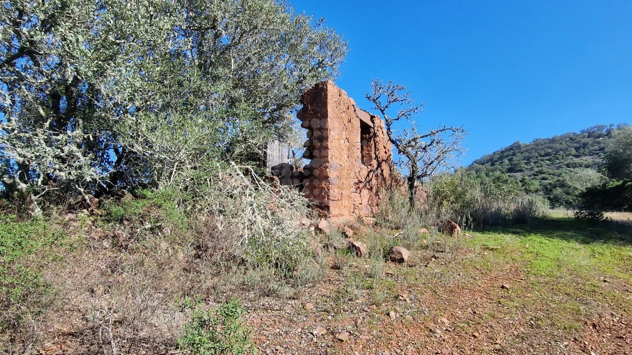Terreno Agricola ou Rústico para Venda em São Bartolomeu de Messines Foto 6