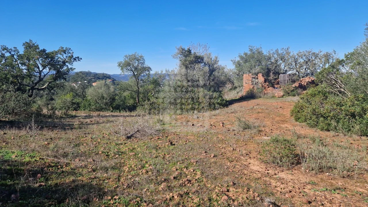 Terreno Agricola ou Rústico para Venda em São Bartolomeu de Messines Foto 7