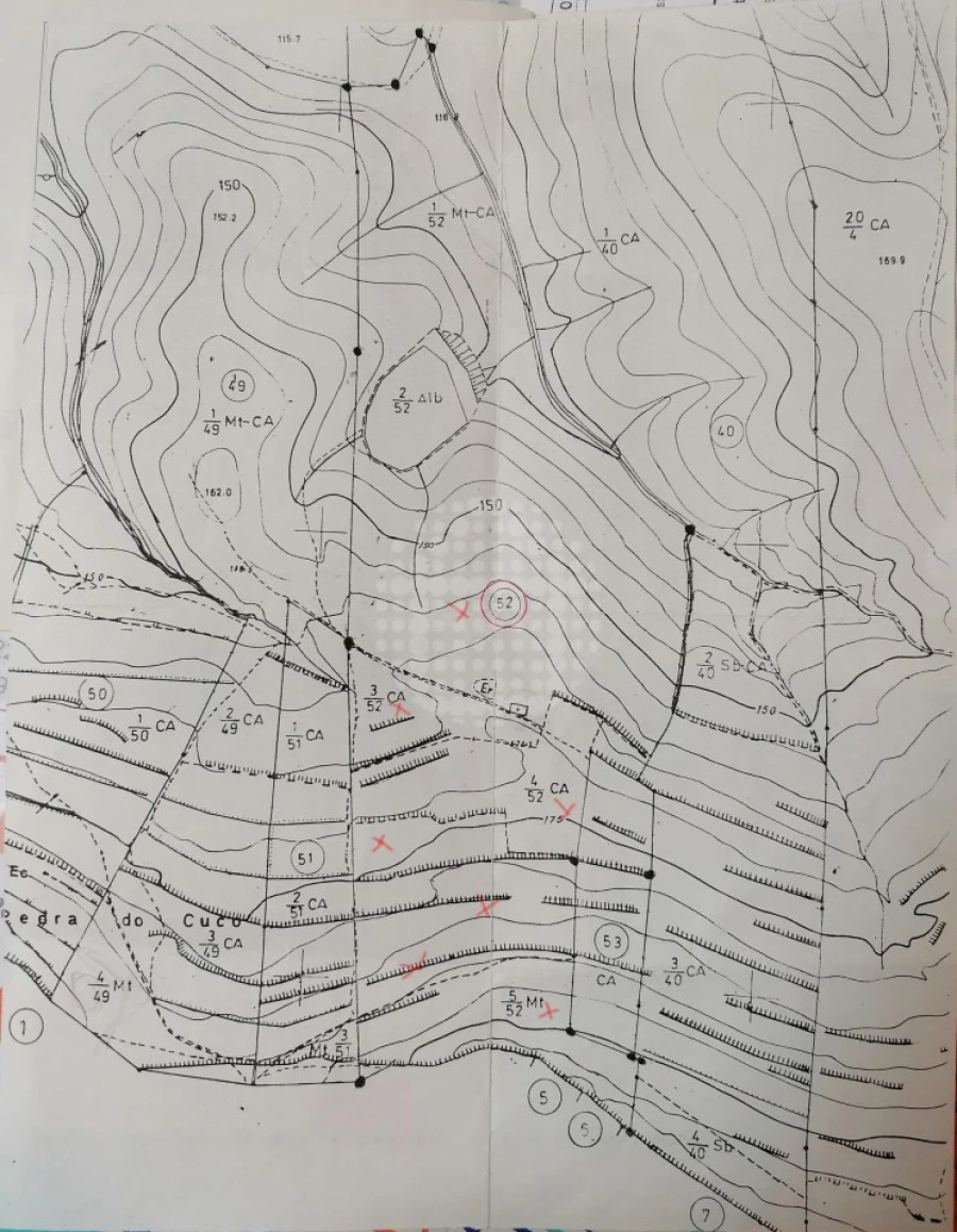 Terreno Agricola ou Rústico para Venda em São Bartolomeu de Messines Foto 13