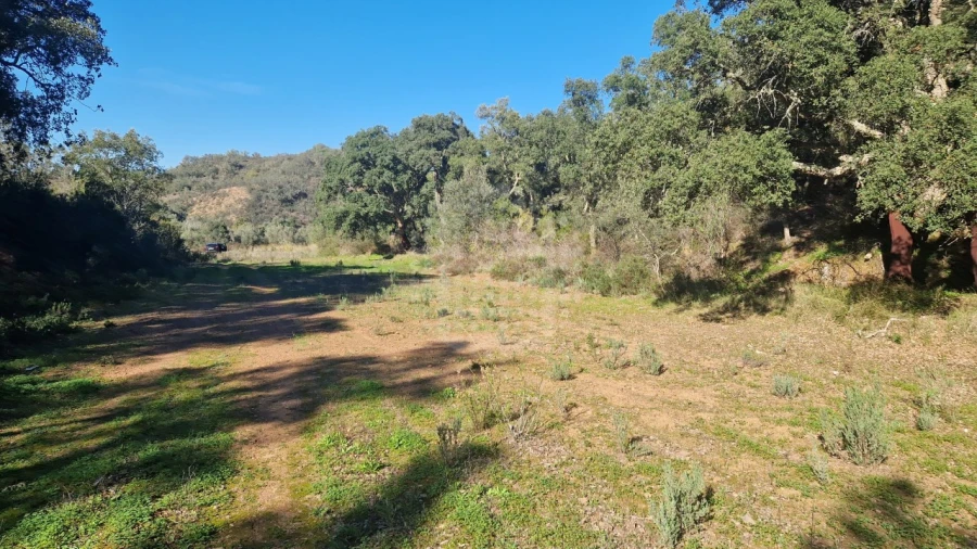 Terreno Agricola ou Rústico para Venda em São Bartolomeu de Messines Foto 3