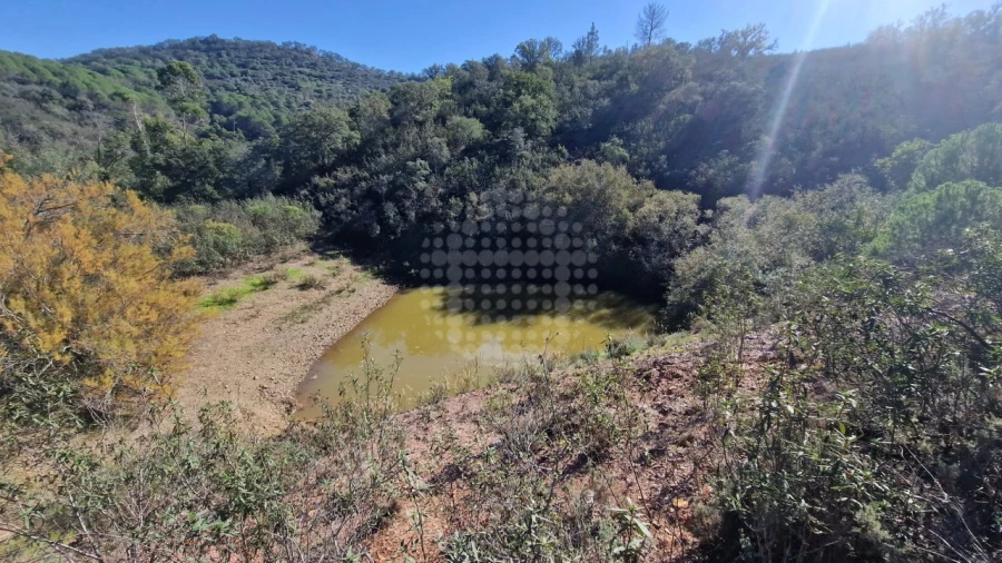 Terreno Agricola ou Rústico para Venda em São Bartolomeu de Messines Foto 4