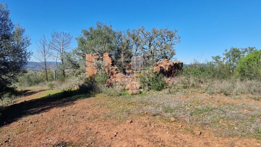 Terreno Agricola ou Rústico para Venda em São Bartolomeu de Messines Foto 5