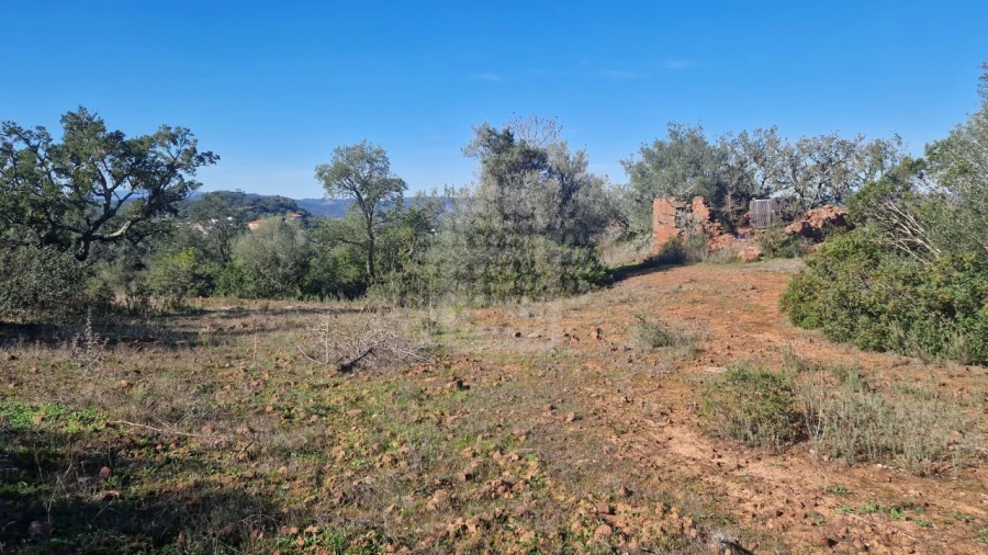 Terreno Agricola ou Rústico para Venda em São Bartolomeu de Messines Foto 7