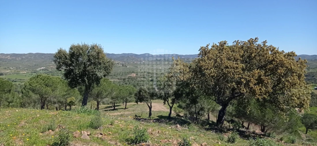 Terreno Misto para Venda em São Bartolomeu de Messines