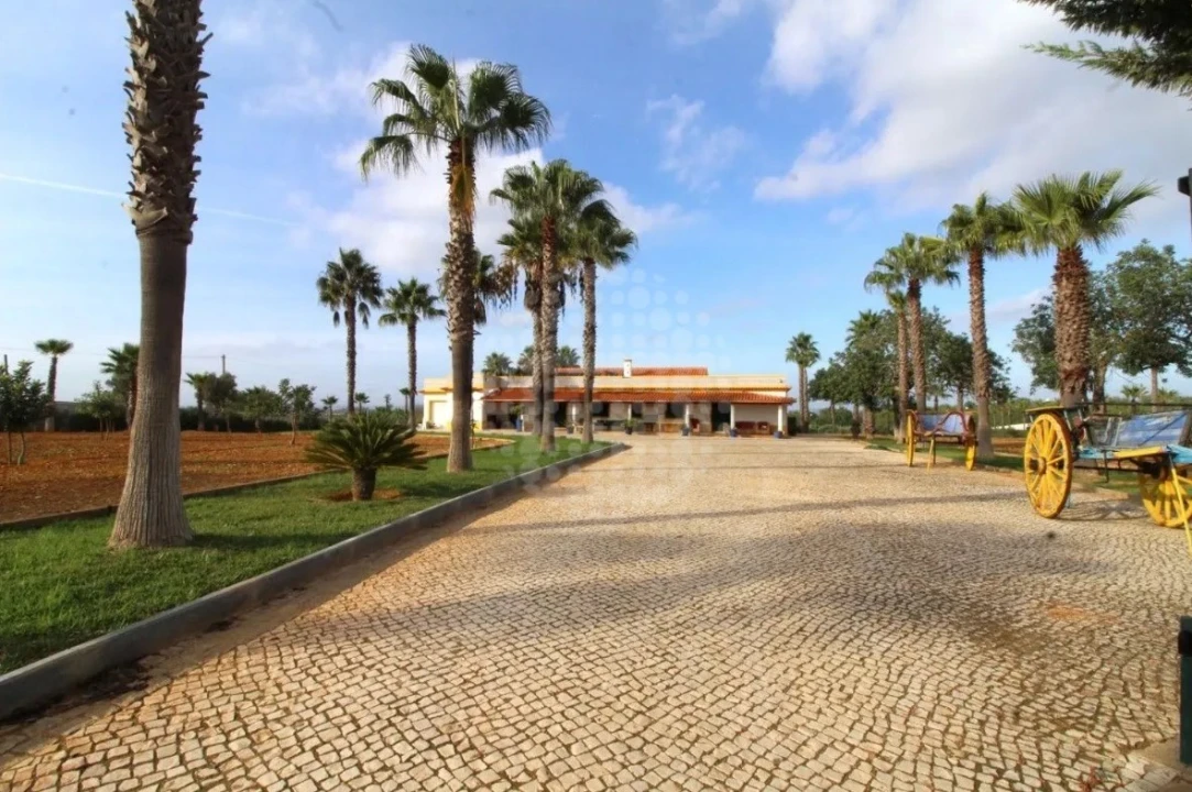 Quinta T4 para Venda em Guia Foto 12