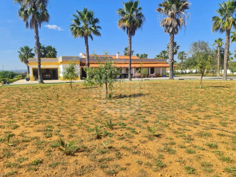 Quinta T4 para Venda em Guia Foto 36