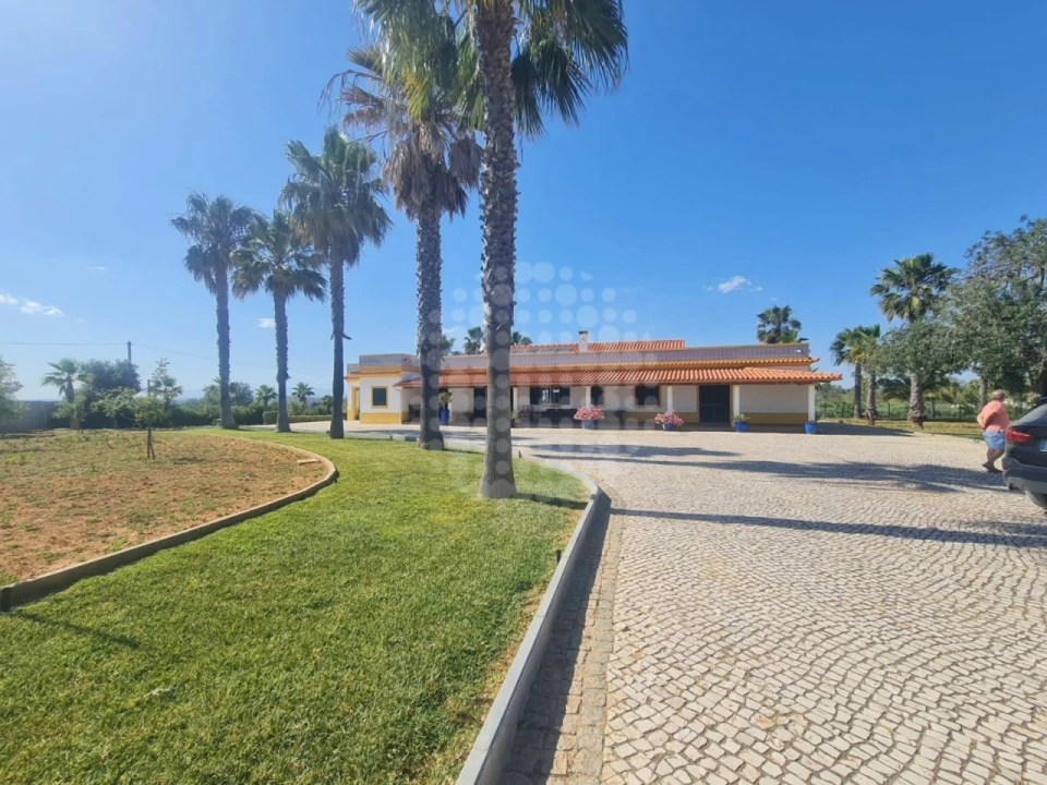 Quinta T4 para Venda em Guia Foto 38