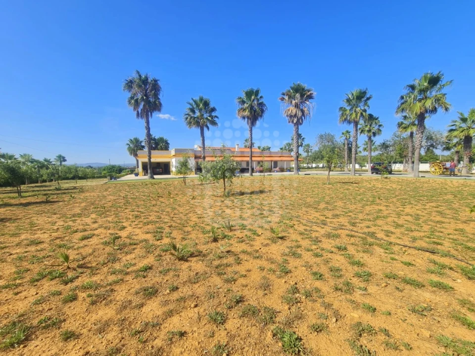 Quinta T4 para Venda em Guia Foto 41