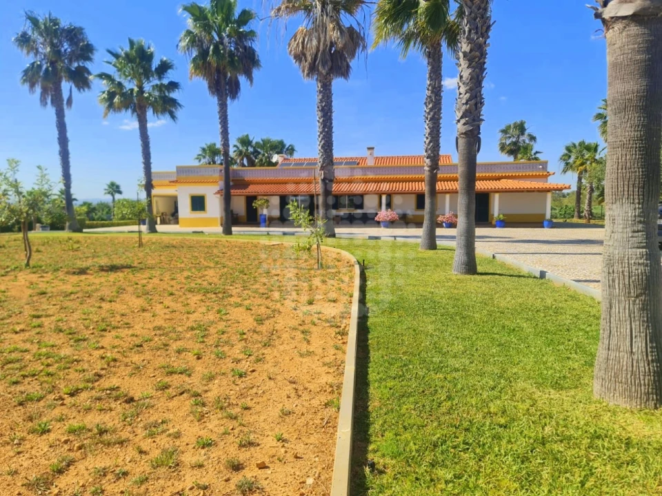 Quinta T4 para Venda em Guia Foto 42