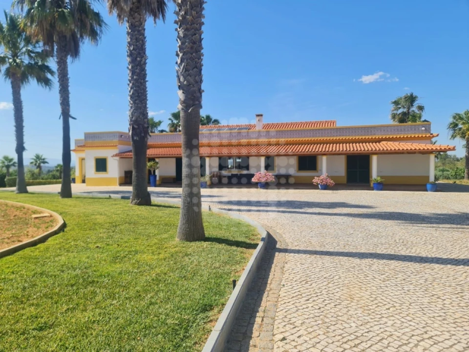 Quinta T4 para Venda em Guia Foto 45