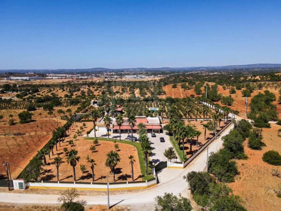 Quinta T4 para Venda em Guia Foto 1