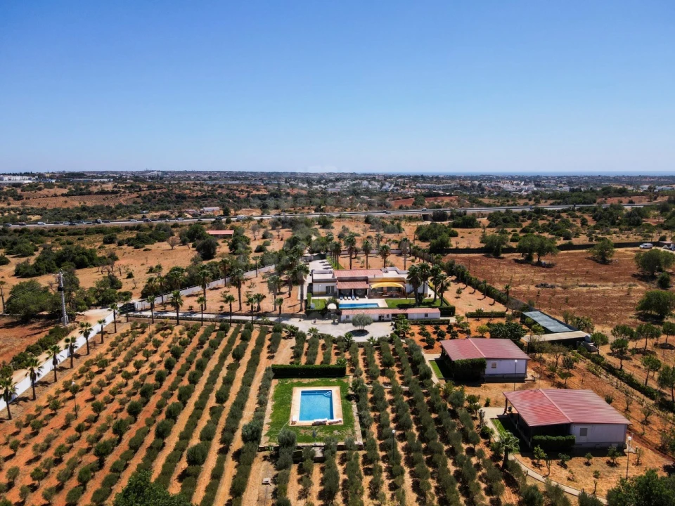 Quinta T4 para Venda em Guia Foto 2