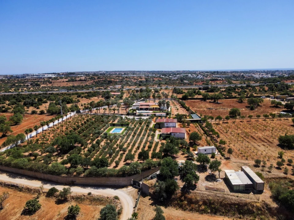 Quinta T4 para Venda em Guia Foto 46