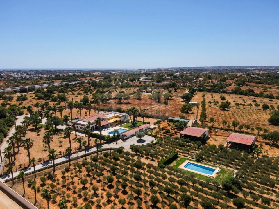 Quinta T4 para Venda em Guia Foto 48