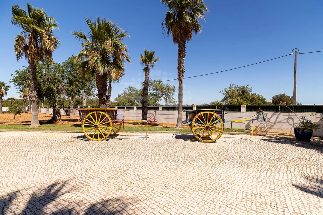 Quinta T4 para Venda em Guia Foto 11