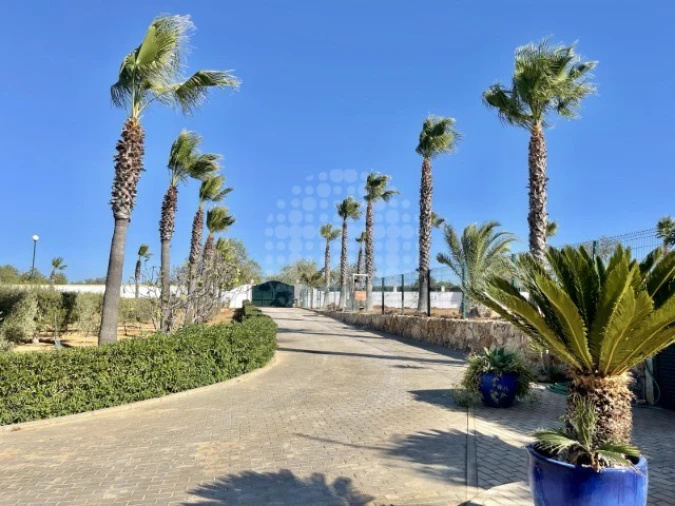 Quinta T4 para Venda em Guia Foto 18