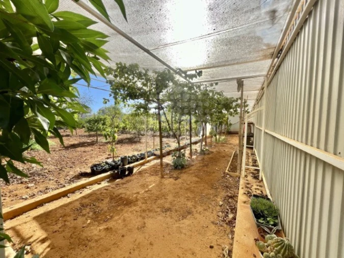 Quinta T4 para Venda em Guia Foto 19