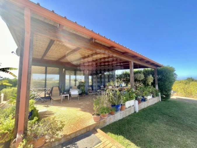 Quinta T4 para Venda em Guia Foto 21