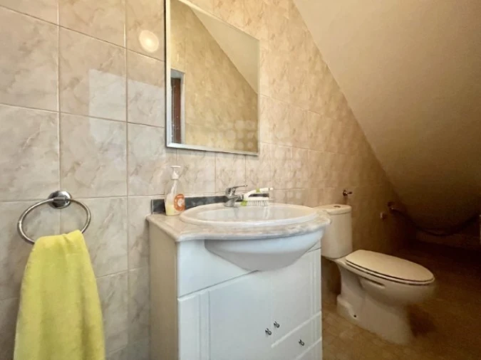 Quinta T4 para Venda em Guia Foto 31