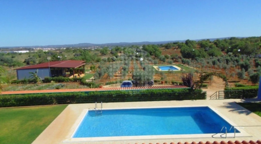 Quinta T4 para Venda em Guia Foto 39