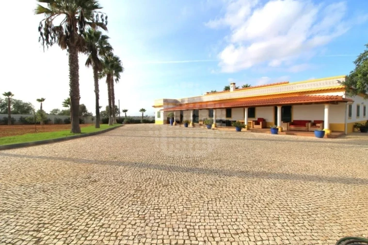 Quinta T4 para Venda em Guia Foto 37