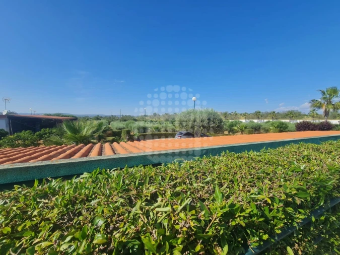 Quinta T4 para Venda em Guia Foto 40