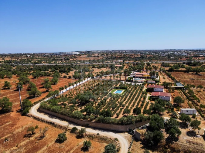 Quinta T4 para Venda em Guia Foto 47