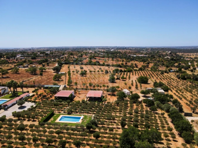 Quinta T4 para Venda em Guia Foto 49