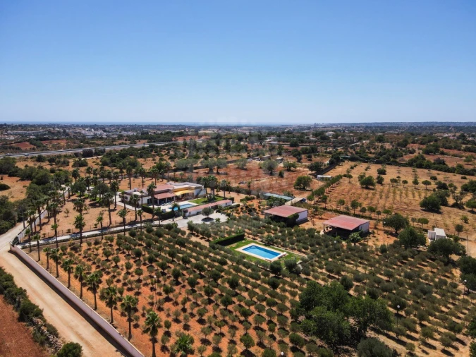 Quinta T4 para Venda em Guia Foto 50