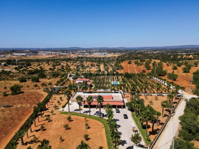 Quinta T4 para Venda em Guia Foto 52