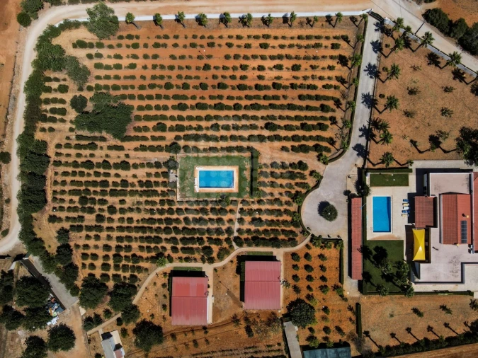 Quinta T4 para Venda em Guia Foto 56