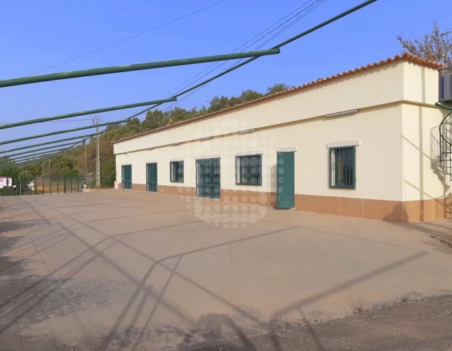 Negócio para Venda em Loule (São Sebastião) Foto 16