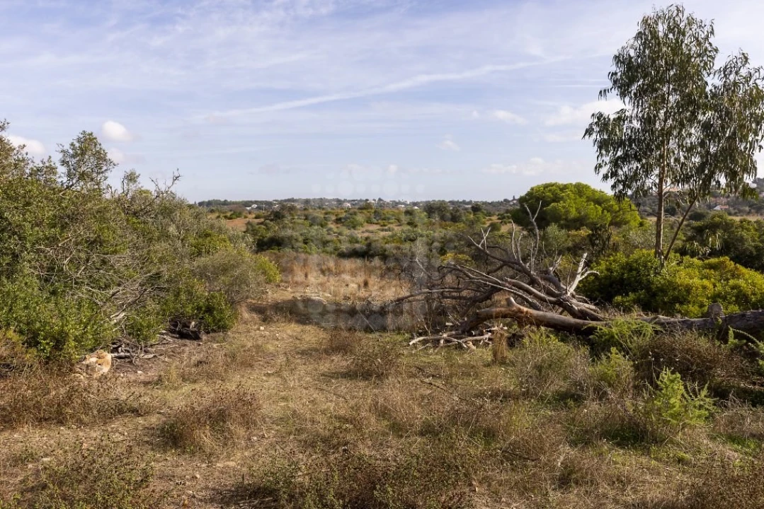Quinta para Venda em Lagoa e Carvoeiro Foto 22