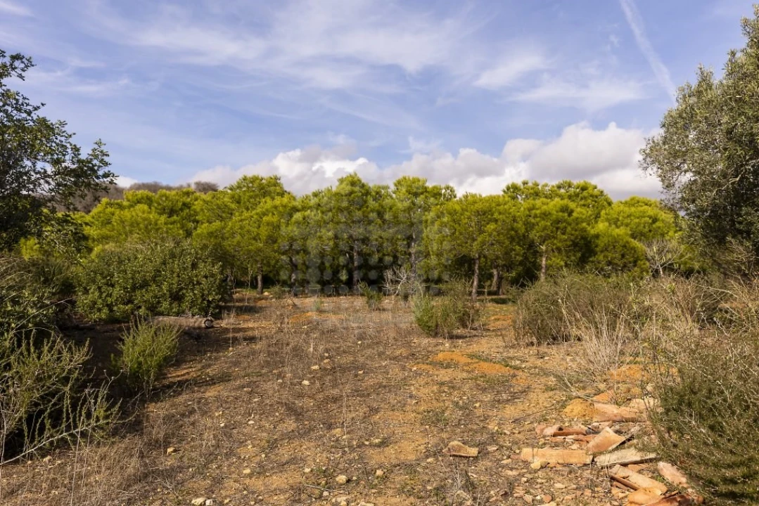 Quinta para Venda em Lagoa e Carvoeiro Foto 25