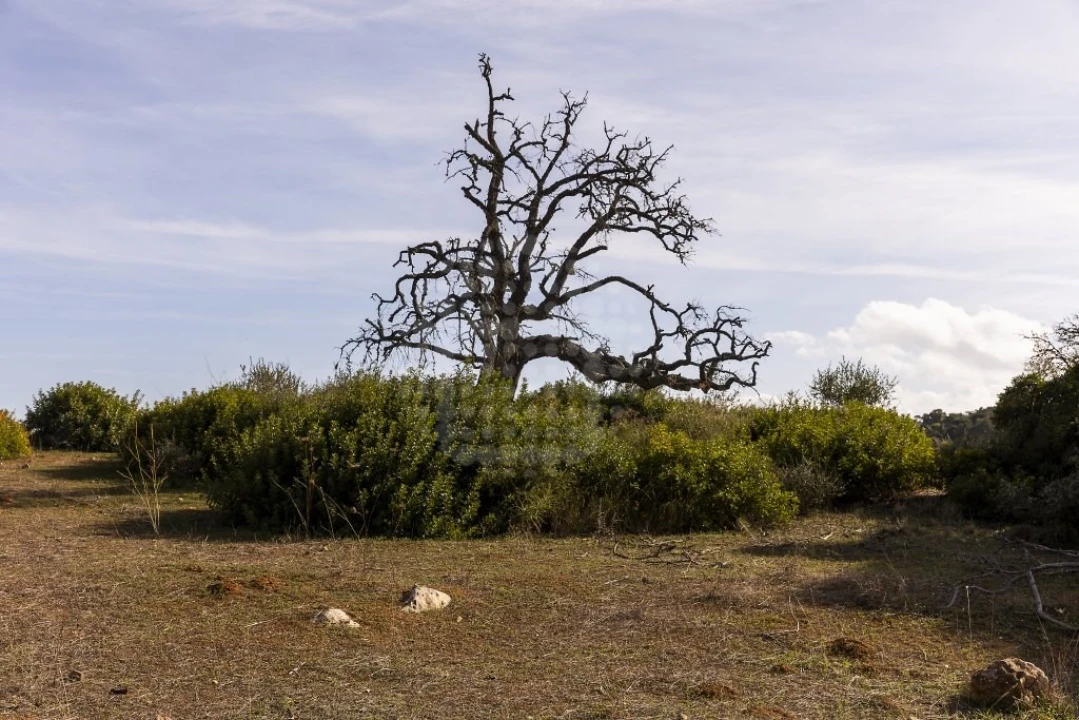 Quinta para Venda em Lagoa e Carvoeiro Foto 26