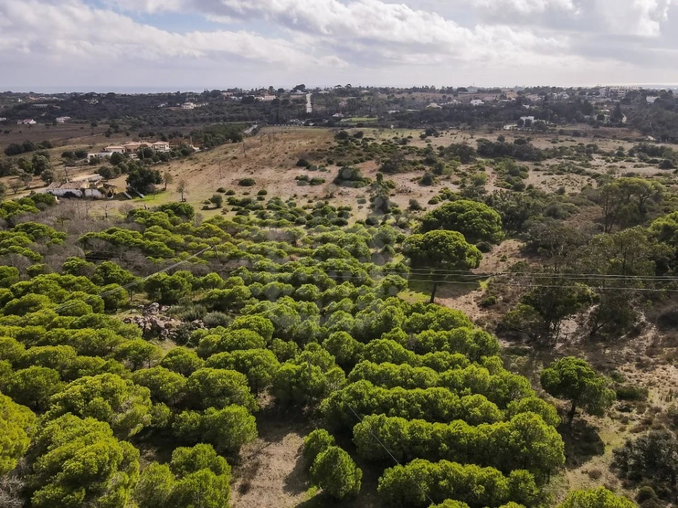 Quinta para Venda em Lagoa e Carvoeiro Foto 27