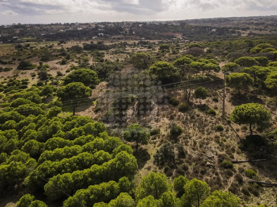 Quinta para Venda em Lagoa e Carvoeiro Foto 28