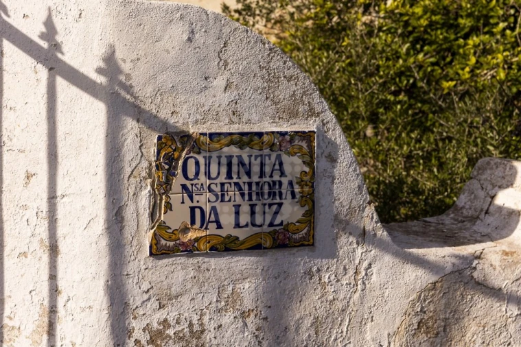 Quinta para Venda em Lagoa e Carvoeiro Foto 1