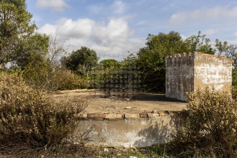 Quinta para Venda em Lagoa e Carvoeiro Foto 14