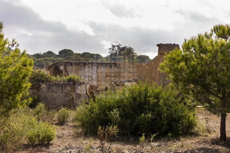 Quinta para Venda em Lagoa e Carvoeiro Foto 17