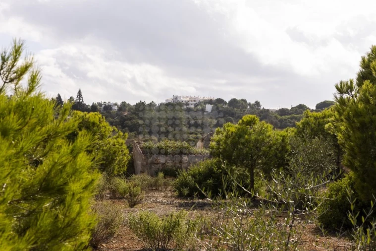 Quinta para Venda em Lagoa e Carvoeiro Foto 24