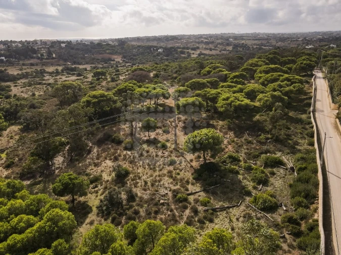 Quinta para Venda em Lagoa e Carvoeiro Foto 29