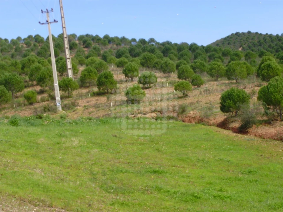 Terreno Agricola ou Rústico para Venda em Santana da Serra Foto 7