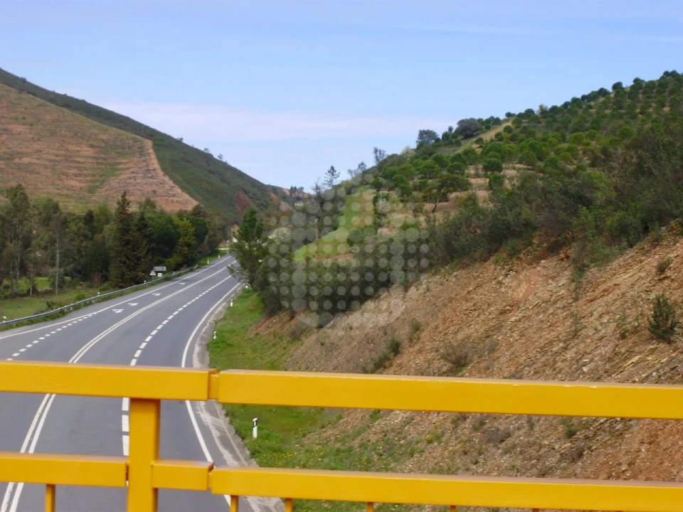 Terreno Agricola ou Rústico para Venda em Santana da Serra Foto 5