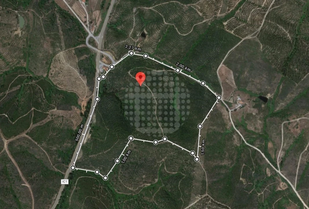 Terreno Agricola ou Rústico para Venda em Santana da Serra Foto 3