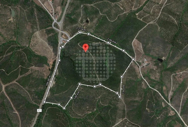 Terreno Agricola ou Rústico para Venda em Santana da Serra Foto 3