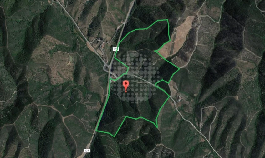 Terreno Agricola ou Rústico para Venda em Santana da Serra Foto 2