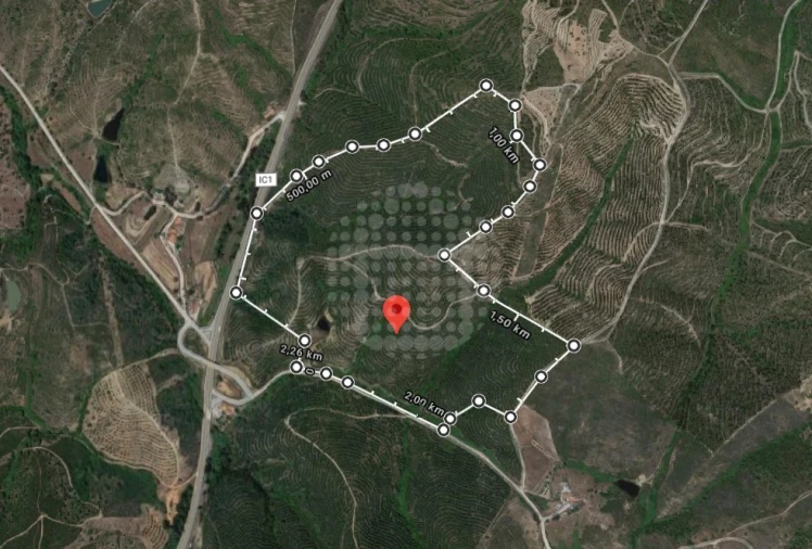 Terreno Agricola ou Rústico para Venda em Santana da Serra Foto 4