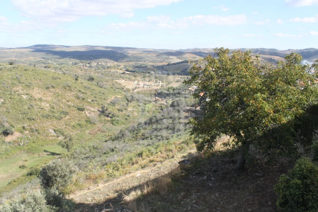 Moradia T8 para Venda em Vila Nova de Foz Côa Foto 14